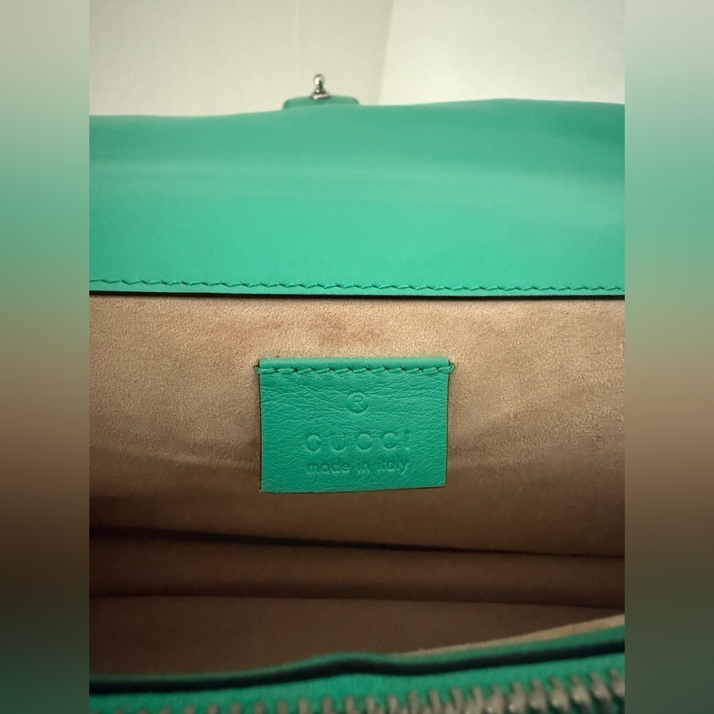 Gucci Small Dionysus Green Python Bag - image 8